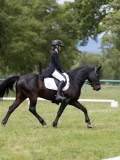 IMG_1611 IMG_1611