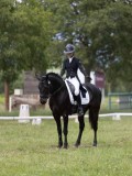 IMG_1617 IMG_1617