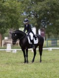 IMG_1619 IMG_1619