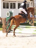 DSC00081