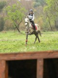 DSC05176 DSC05176