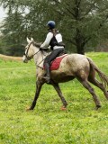 DSC05184 DSC05184