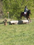 24_06706 24_06706
