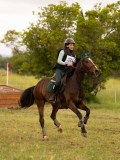 DSC08354 DSC08354