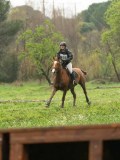 DSC05199 DSC05199