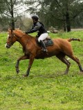 DSC05203 DSC05203