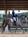 IMG_0584 IMG_0584