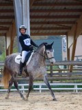 IMG_0586 IMG_0586