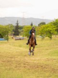 DSC08358 DSC08358