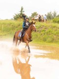 DSC08545 DSC08545