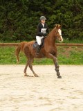 DSC01879 DSC01879