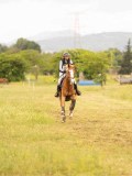 DSC08364