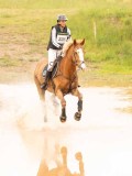 DSC08559 DSC08559
