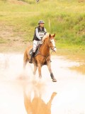 DSC08560 DSC08560