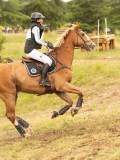 DSC08564 DSC08564