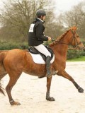 DSC02010 DSC02010