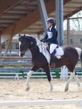 IMG_0686 IMG_0686