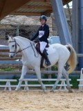 IMG_0761 IMG_0761
