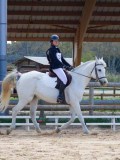 IMG_0768 IMG_0768