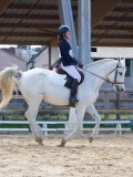 IMG_0782 IMG_0782