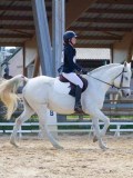 IMG_0783 IMG_0783