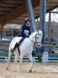 IMG_0784 IMG_0784