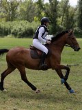IMG_3909 IMG_3909