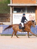 DSC06783 DSC06783