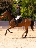 DSC05475 DSC05475