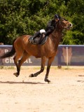 DSC05480 DSC05480