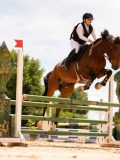 DSC08588 DSC08588