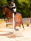 DSC08594 DSC08594