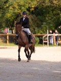 DSC06645 DSC06645