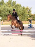 DSC06646 DSC06646