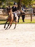 DSC06649 DSC06649