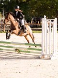 DSC06650 DSC06650