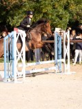 DSC06653 DSC06653