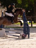 DSC06655 DSC06655