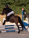 DSC06658 DSC06658