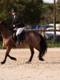 DSC06659 DSC06659