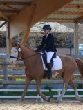 IMG_0798 IMG_0798