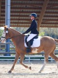 IMG_0803 IMG_0803