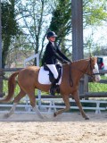 IMG_0808 IMG_0808