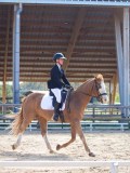 IMG_0809 IMG_0809