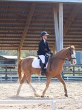 IMG_0811 IMG_0811