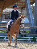 IMG_0816 IMG_0816