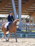 IMG_0819 IMG_0819