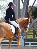 IMG_0828 IMG_0828