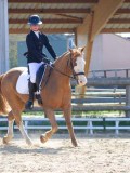 IMG_0832 IMG_0832
