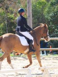 IMG_0850 IMG_0850